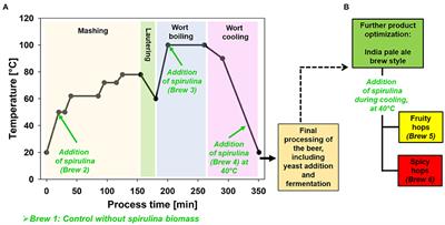 Integration of Arthrospira platensis (spirulina) into the brewing process to develop new beers with unique sensory properties